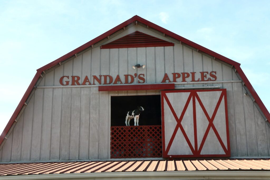 Grandads